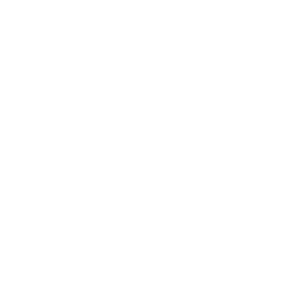 Christensen Arms
